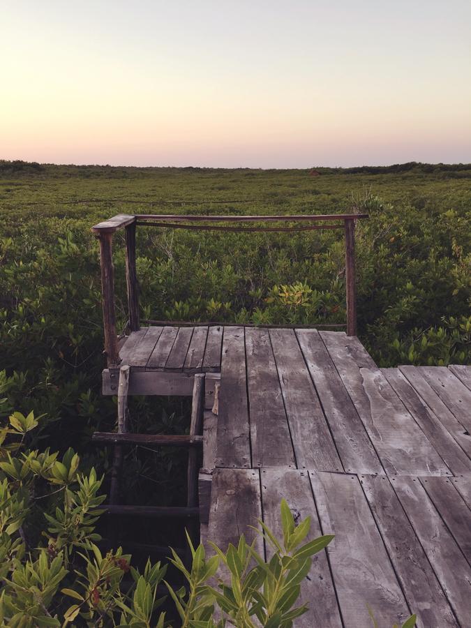 Nativus Glamping & Cenote Tulum