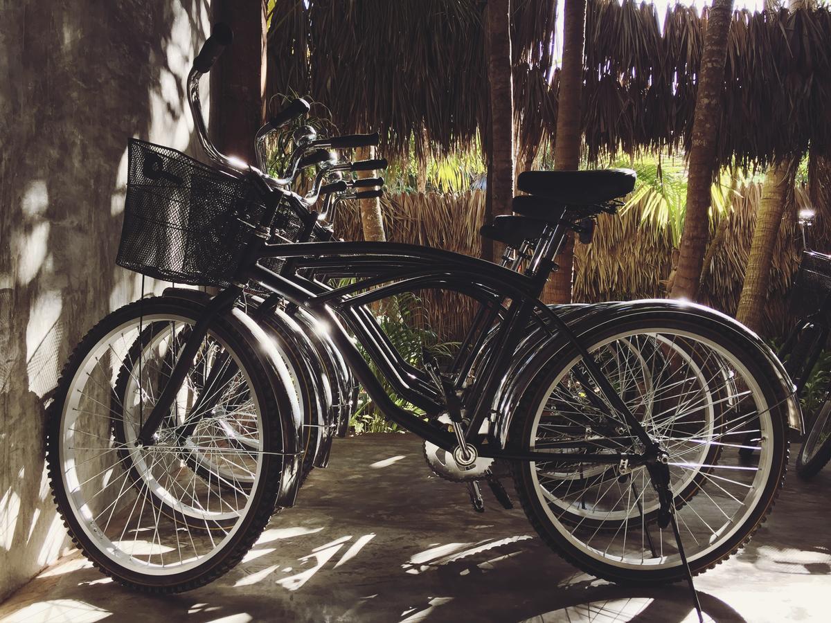 Nativus Glamping & Cenote Hotel Tulum