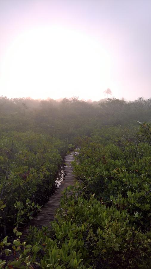 Nativus Glamping & Cenote Tulum