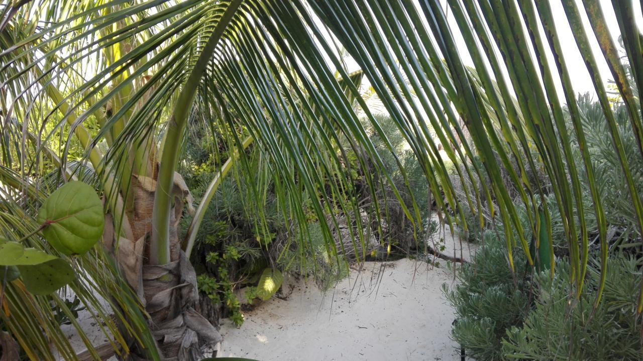 Eco Tulum