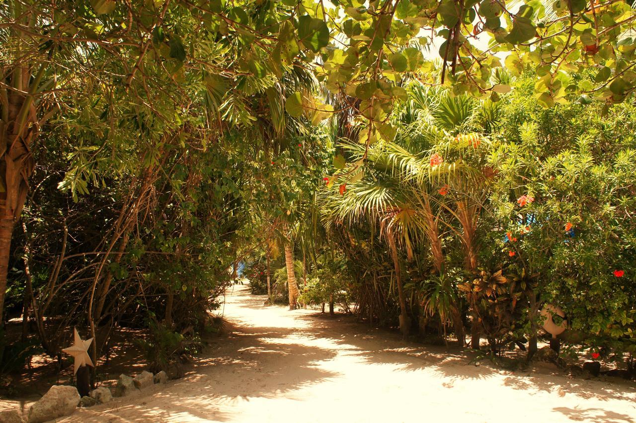 Cabanas La Luna