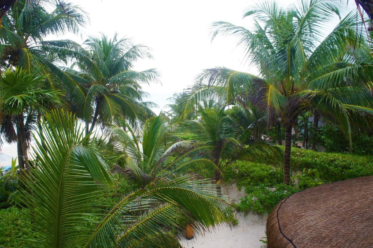 Cabanas La Luna 3*