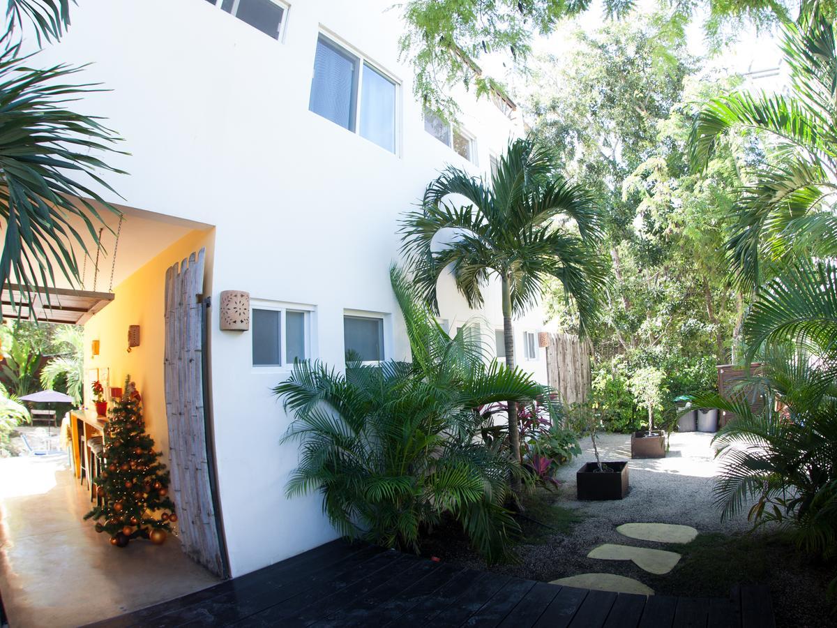 Mango Tulum