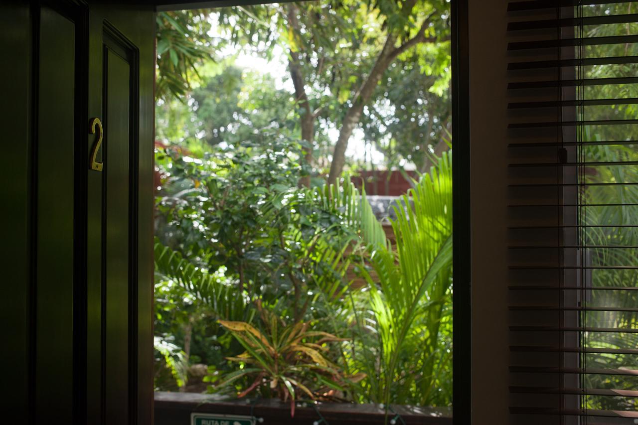 Mango Tulum
