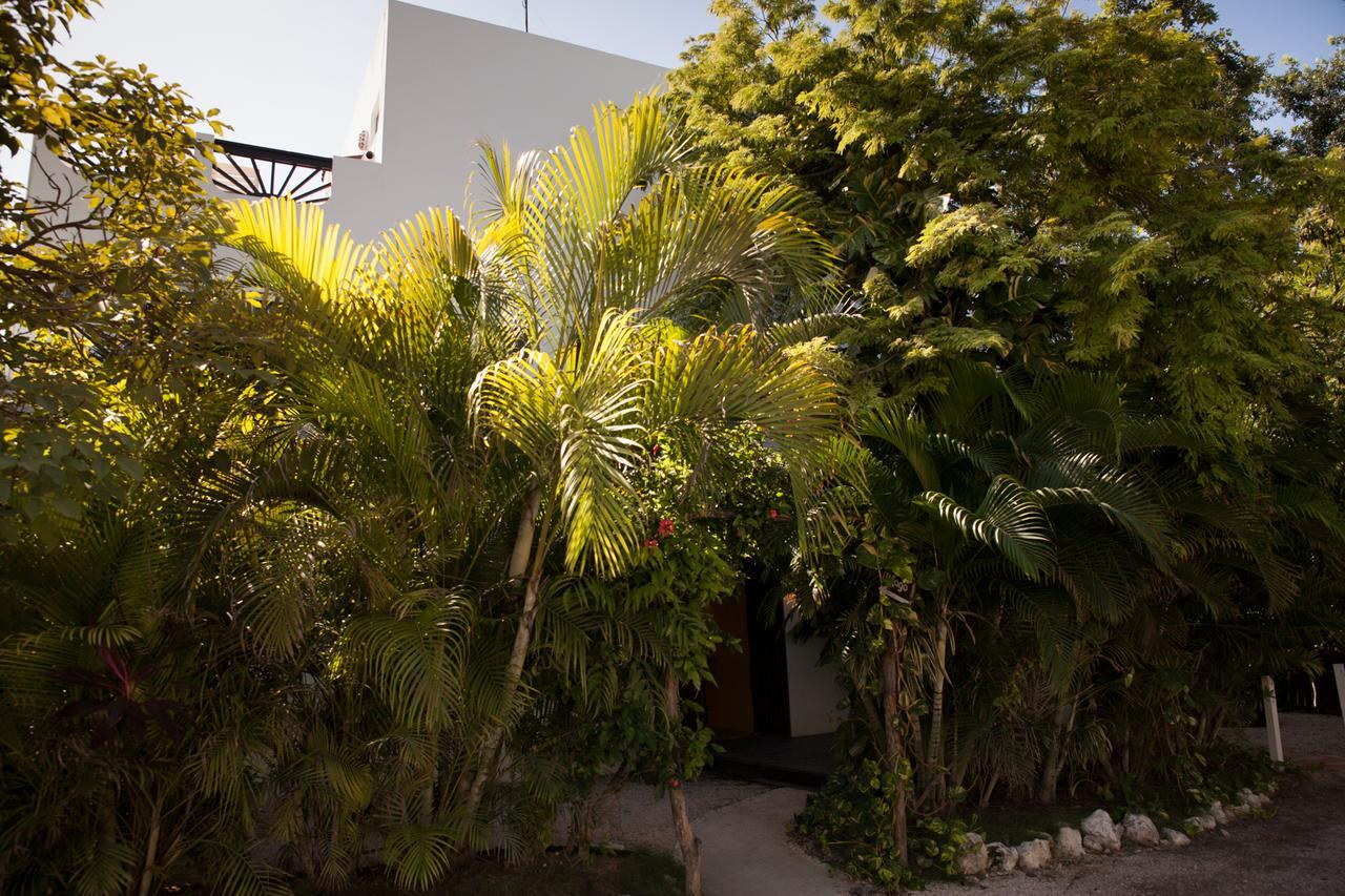 Hotel Mango