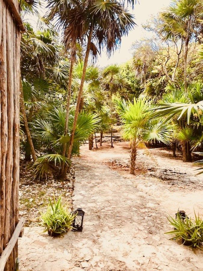 Villa Casa Emily - Oceanfront House In Tulum!