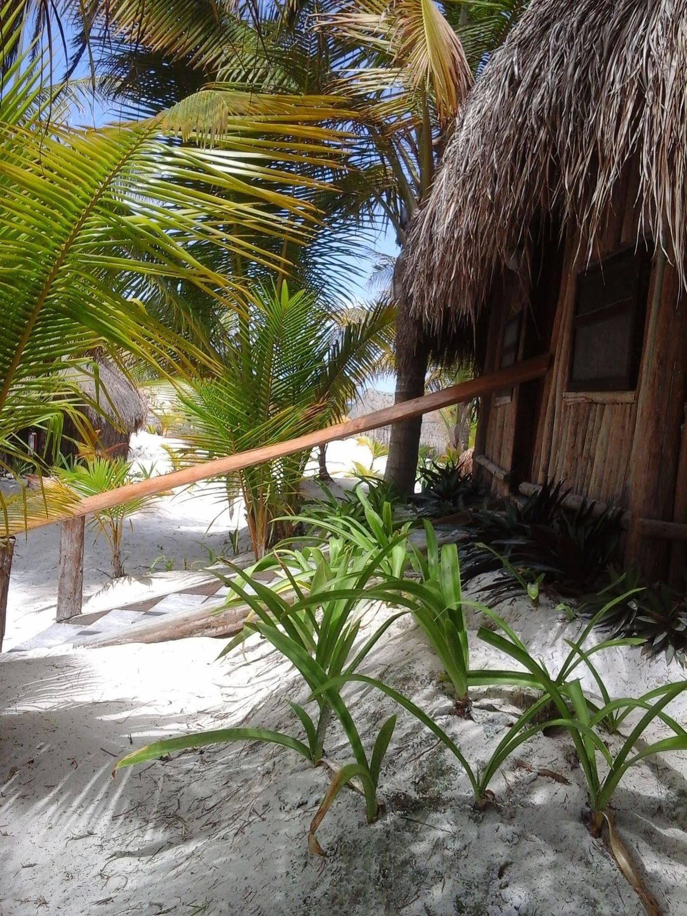 Zazil Kin 2* Tulum