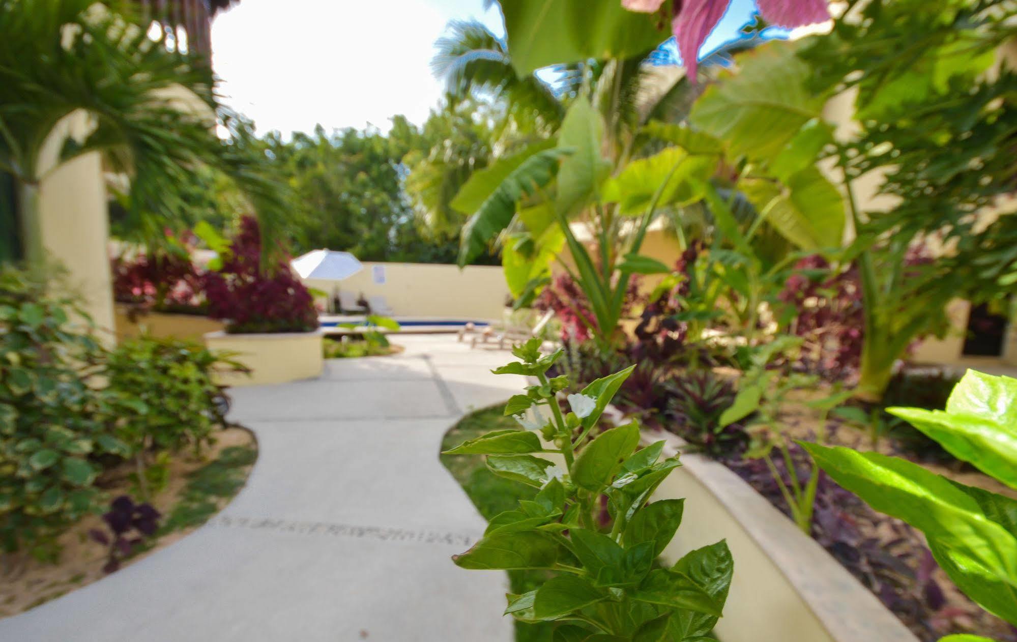 Akalan 3* Tulum