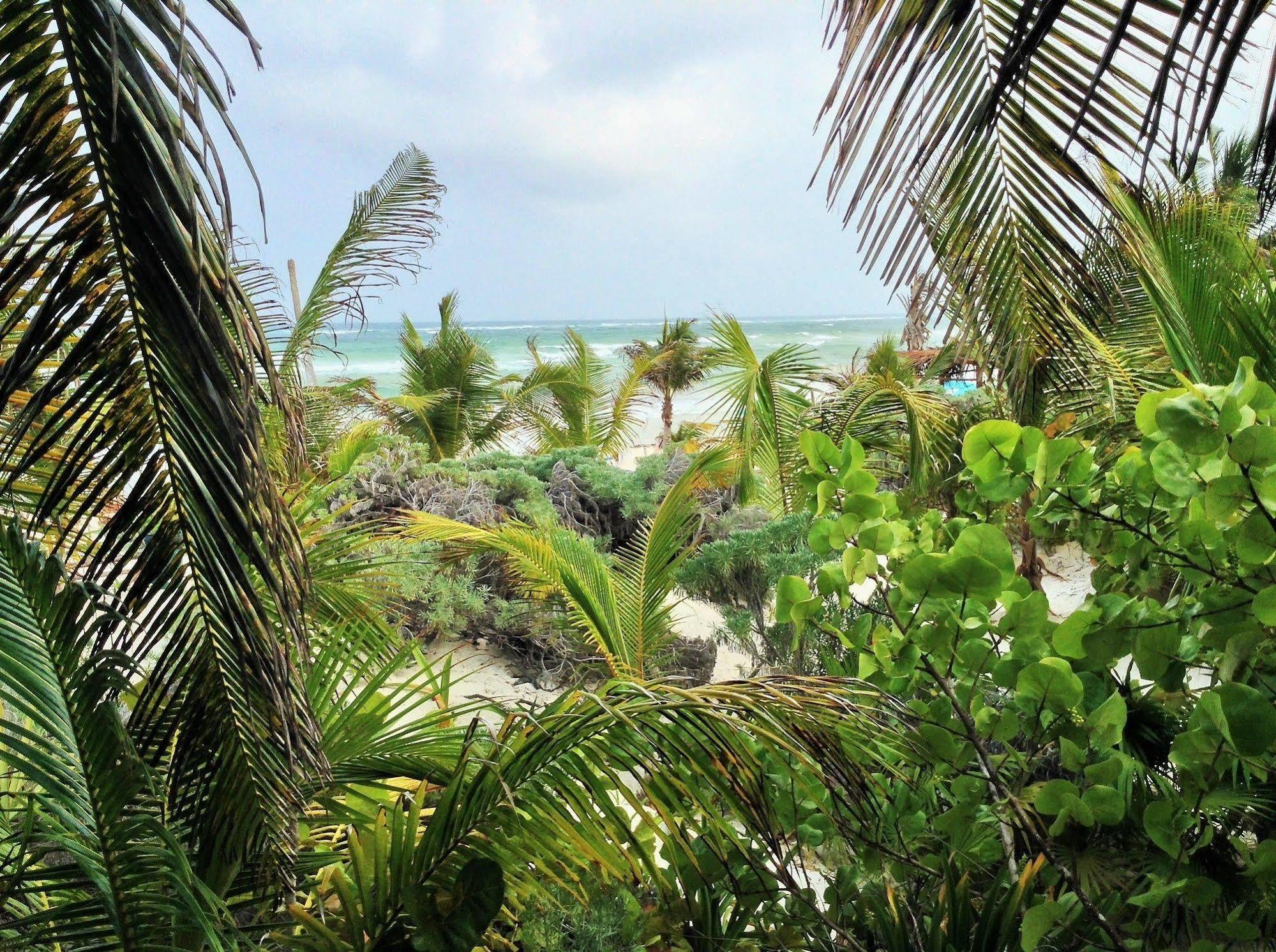 El Caracol Tulum