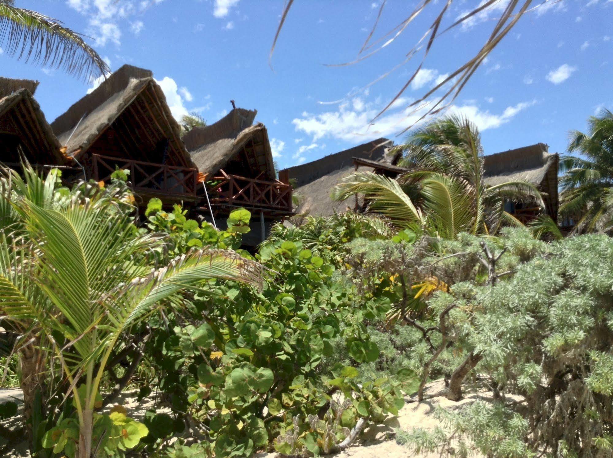 El Caracol Lodge Tulum