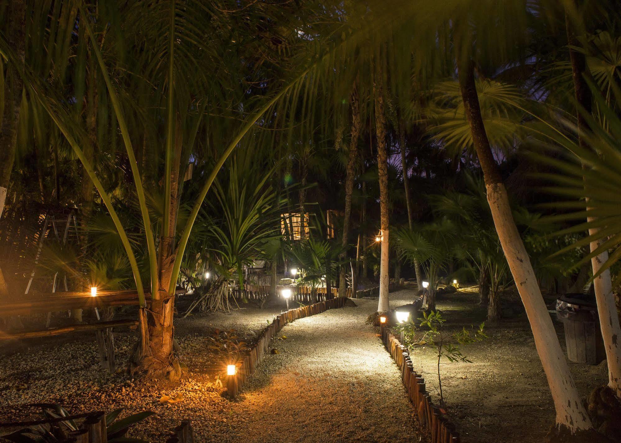 Maya Y Cenote 2*