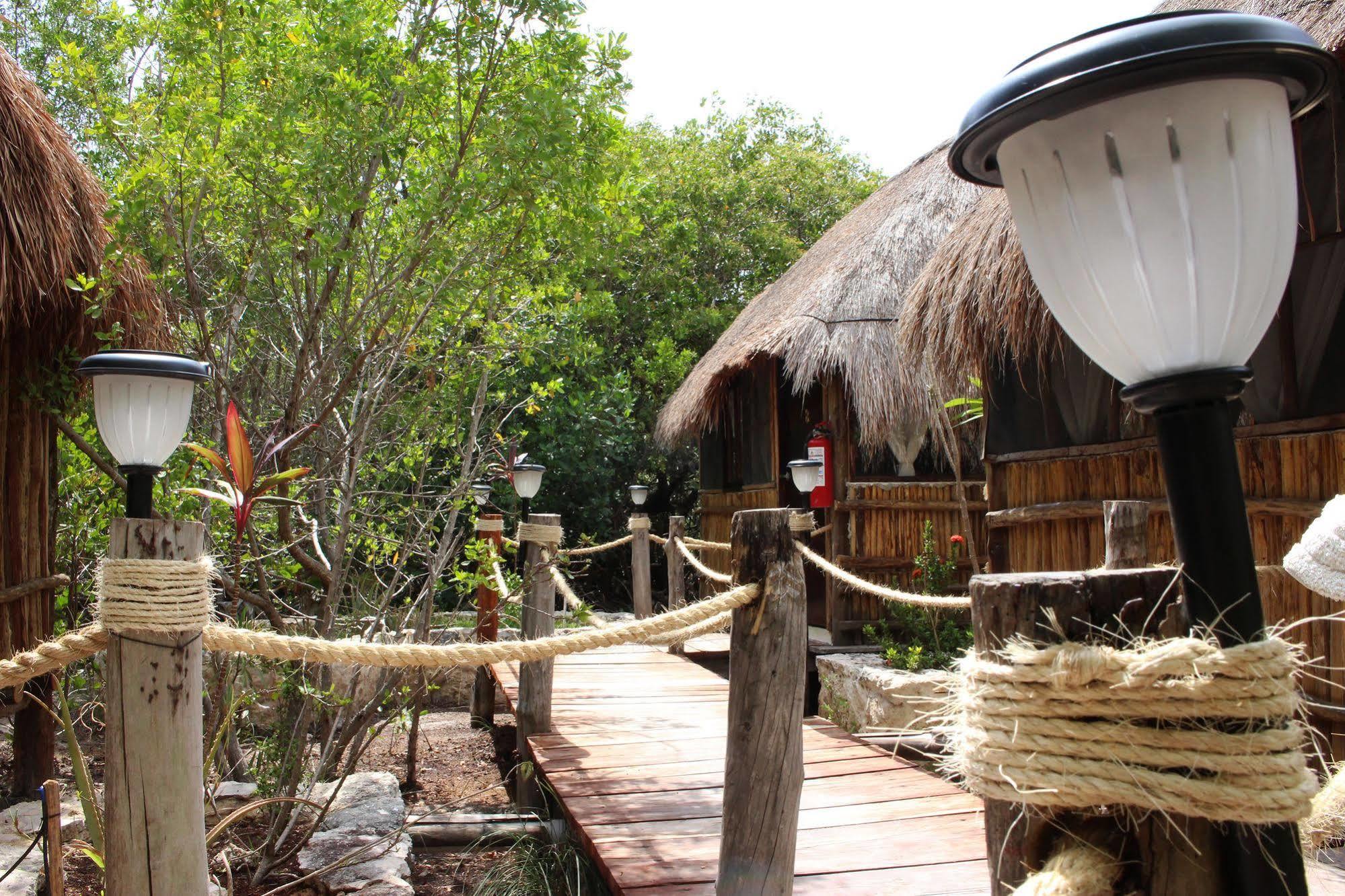 Maya Y Cenote