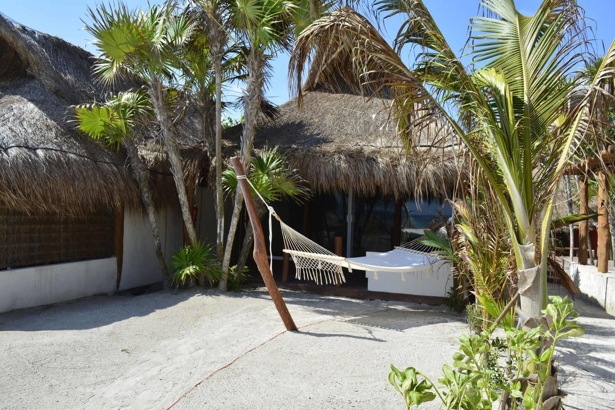 Hotel Alma 3*