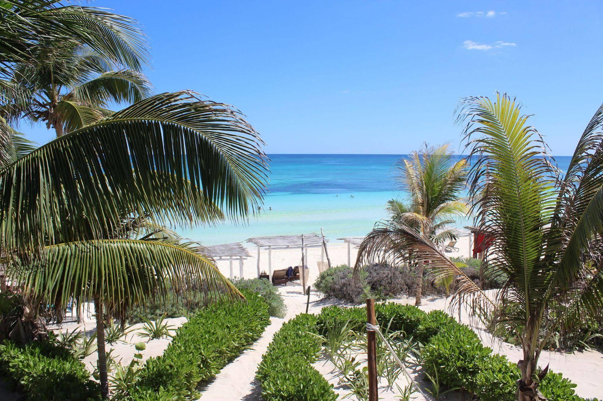 Alma 3* Tulum