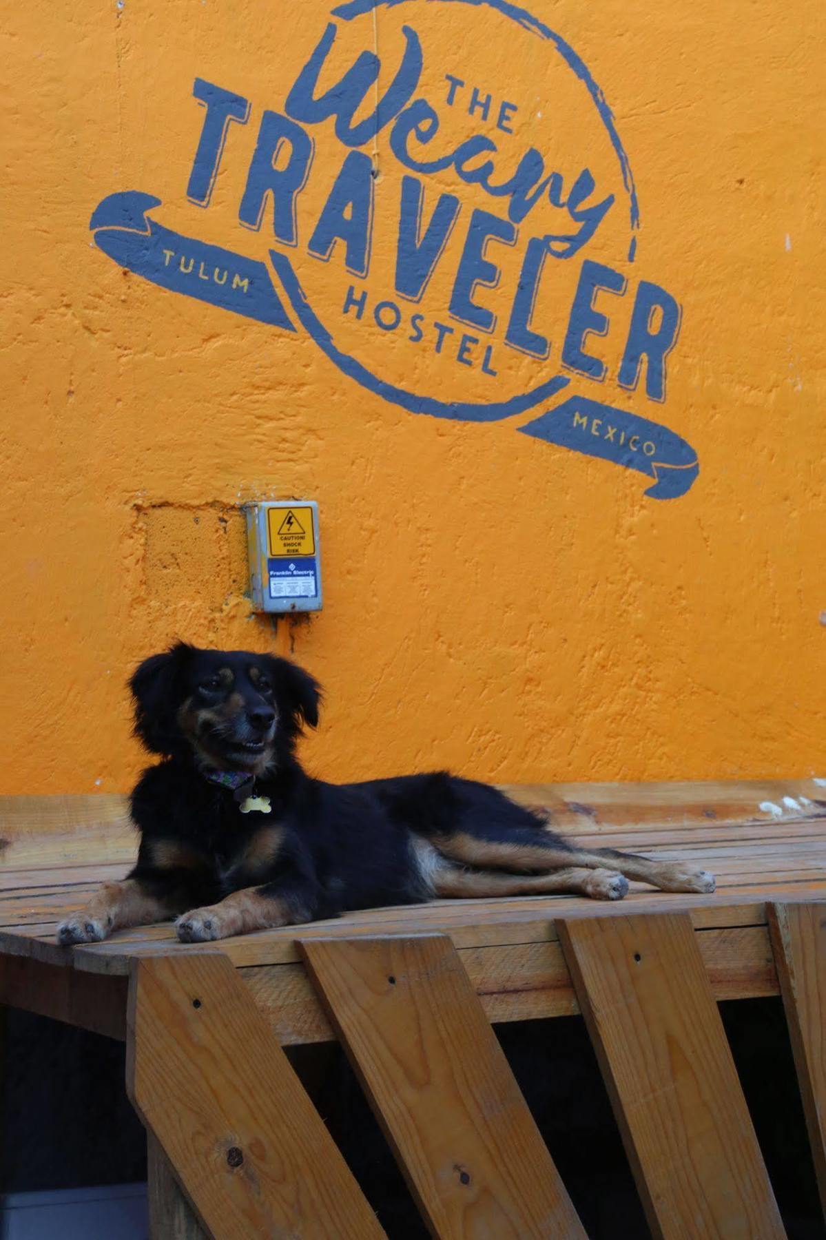 Weary Traveler Hostal