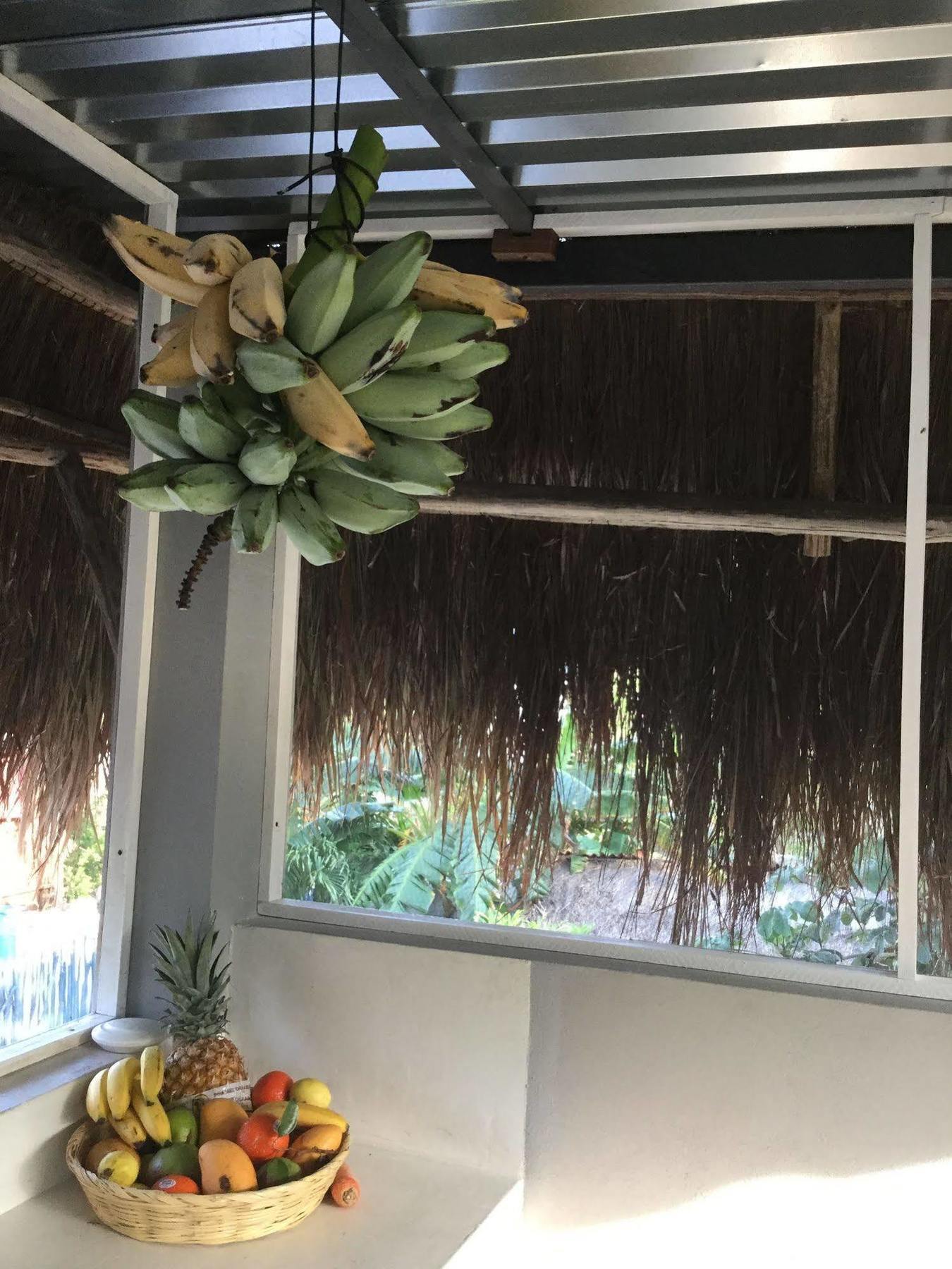 Huitzical Tulum