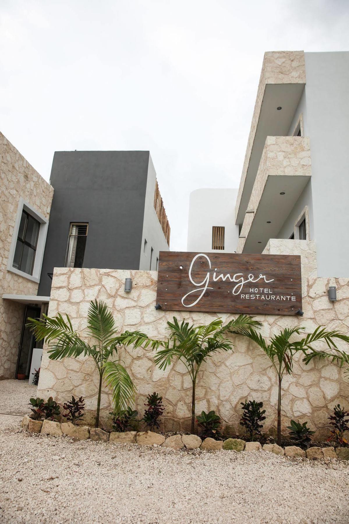 Ginger Tulum
