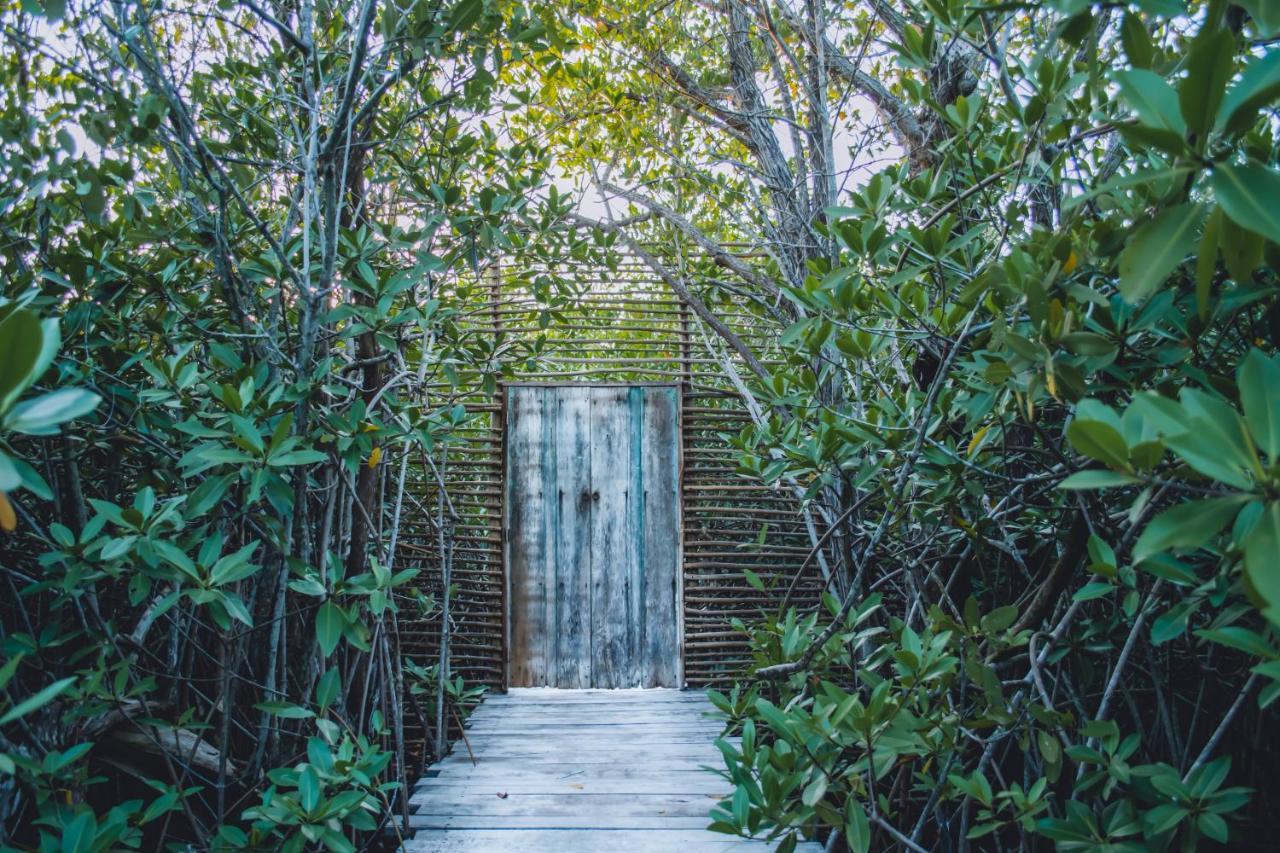 Hotel Nativus Glamping & Cenote