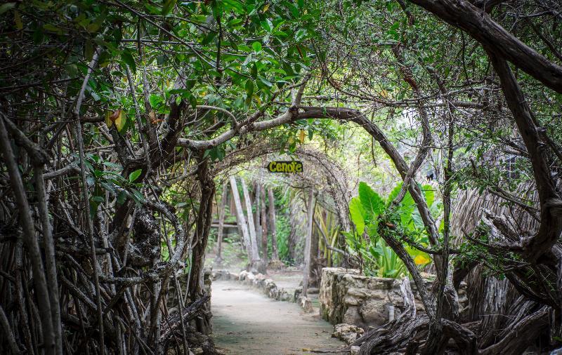 Maya Y Cenote Hotel Tulum