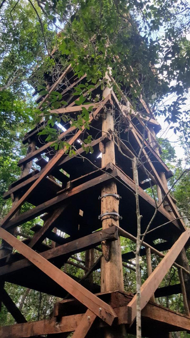 Ajal Tree House 4* Tulum