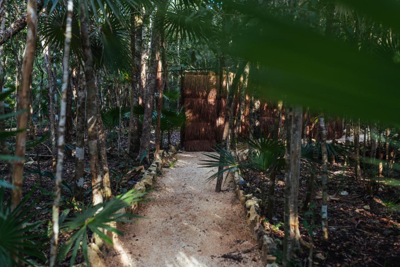Ajal Tree House 4*