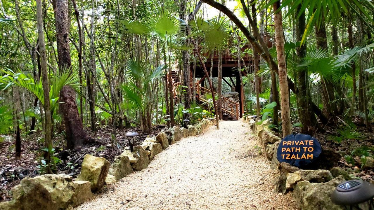Ajal Tree House 4*