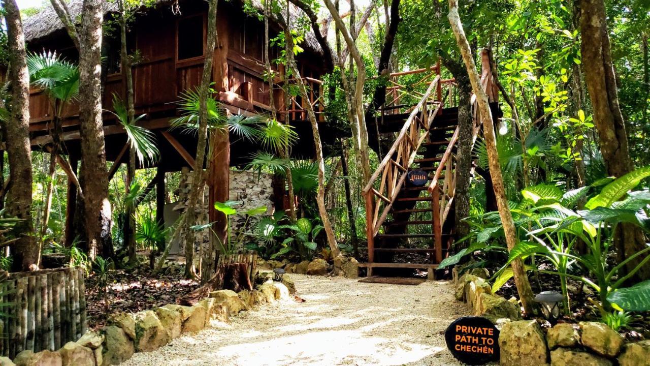 Hotel Ajal Tree House Tulum