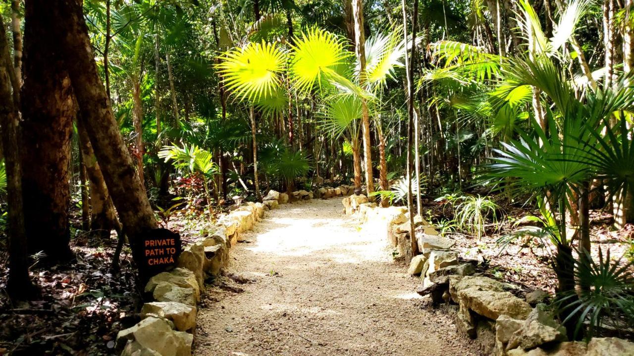 Ajal Tree House Hotel 4*