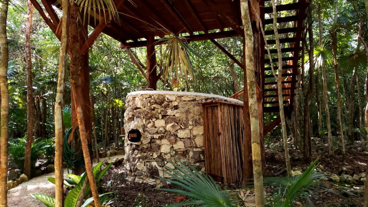 Ajal Tree House Hotel 4*