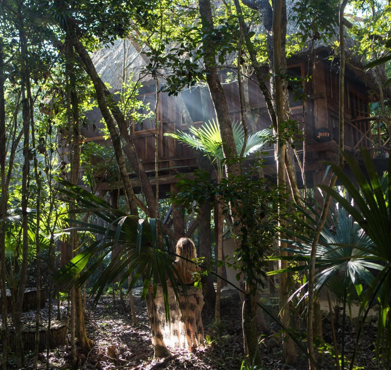 Hotel Ajal Tree House Tulum