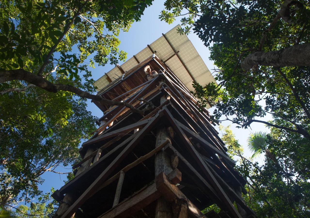 Hotel Ajal Tree House