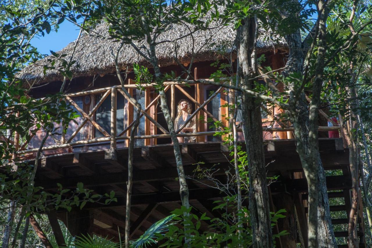 Ajal Tree House