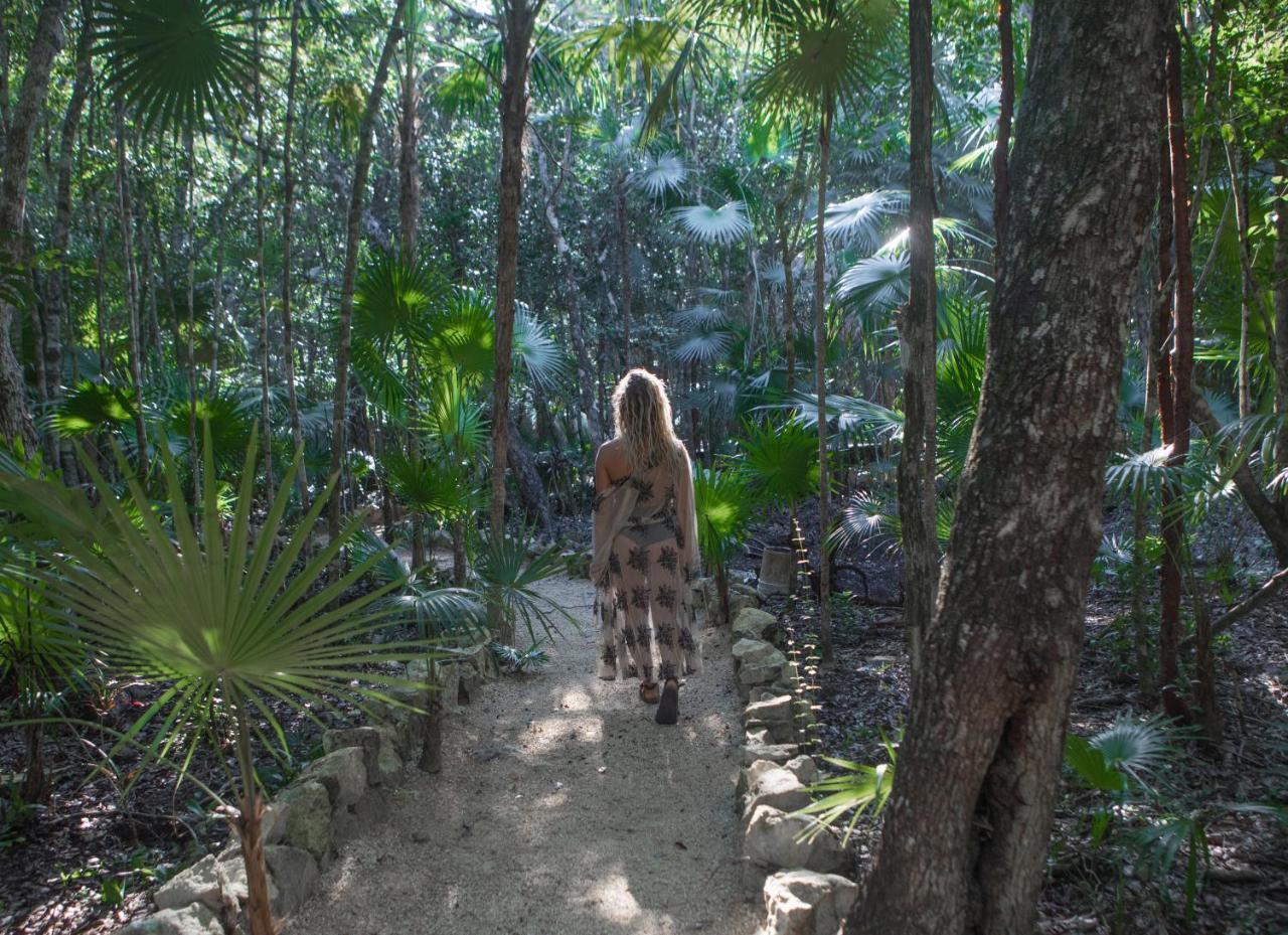Ajal Tree House Hotel 4*