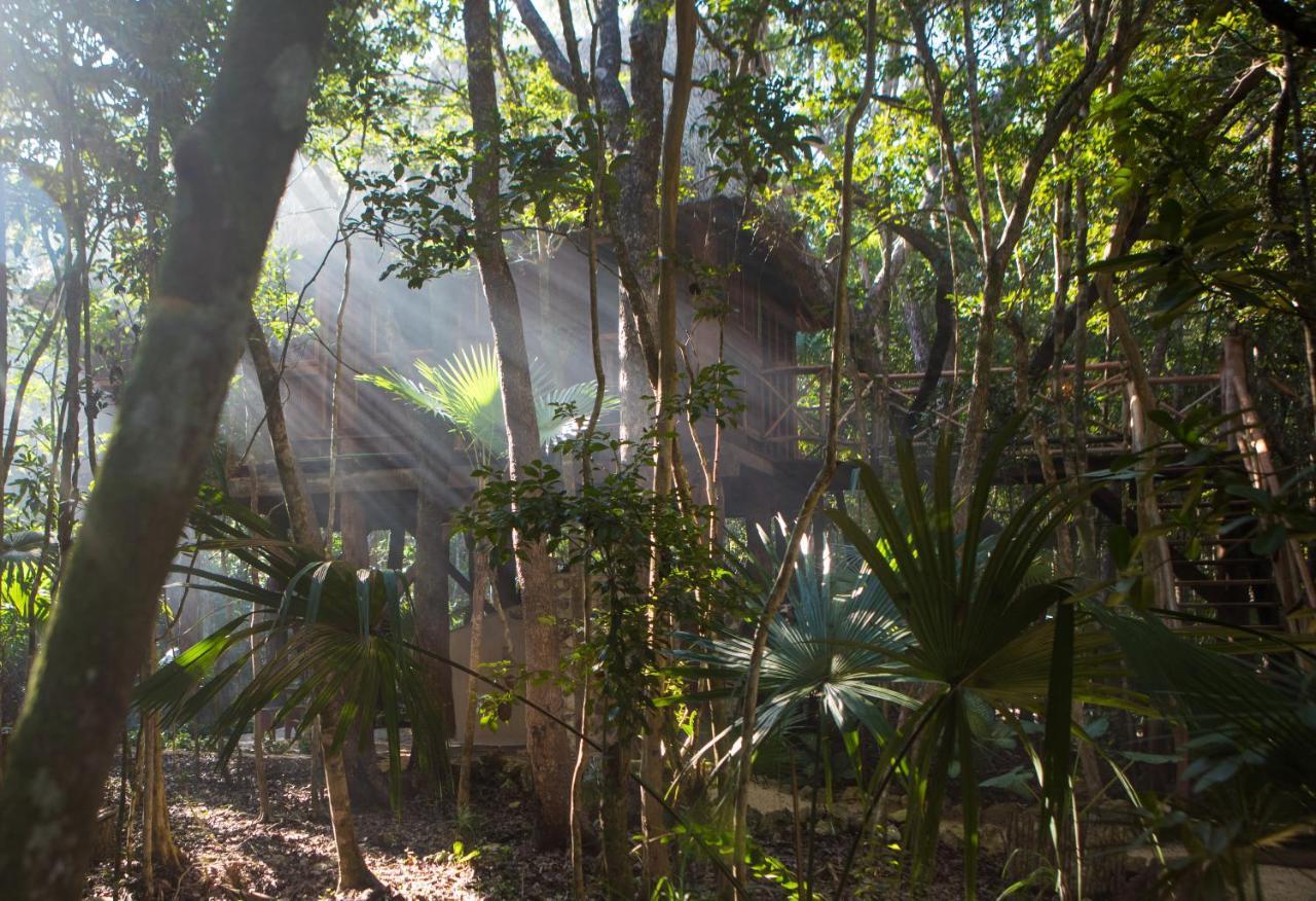 Ajal Tree House Hotel