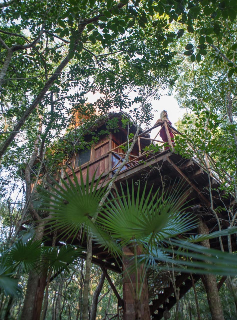 Ajal Tree House Hotel 4*