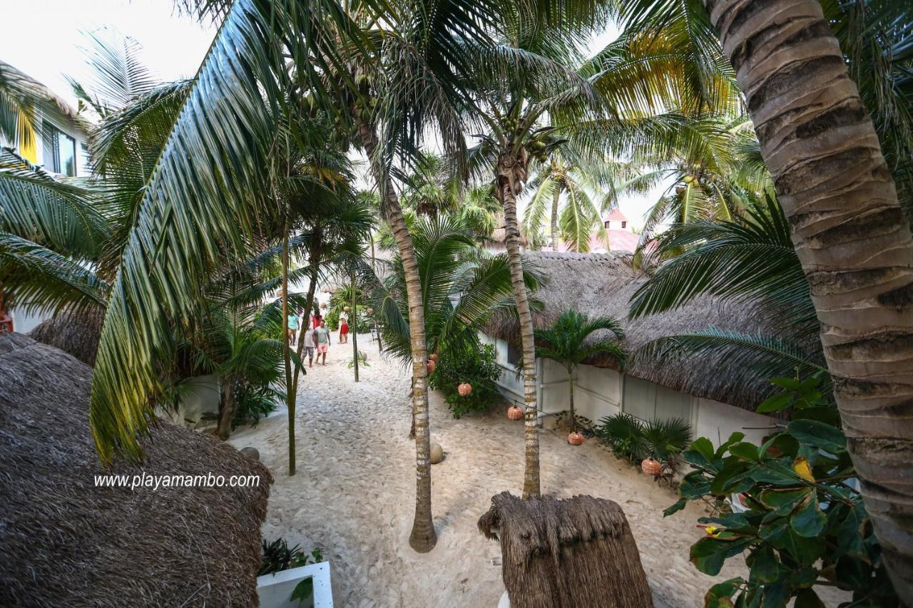 Hotel Playa Mambo Eco Cabanas 4*