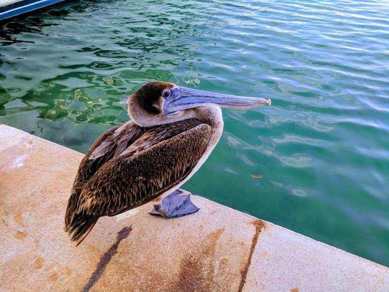 Bahia Principe&golf Residences