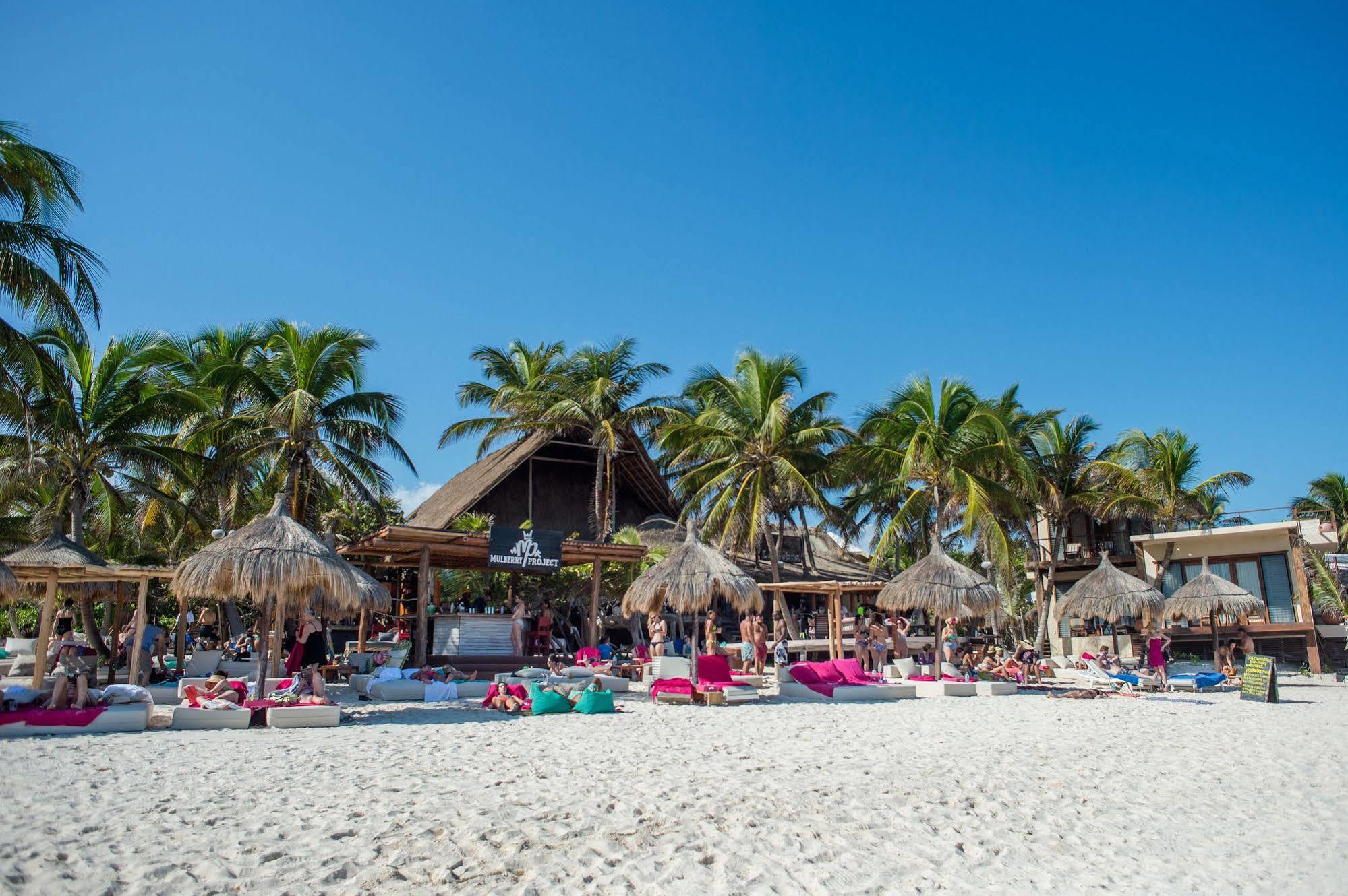 La Zebra Tulum, A Small Luxury 5*