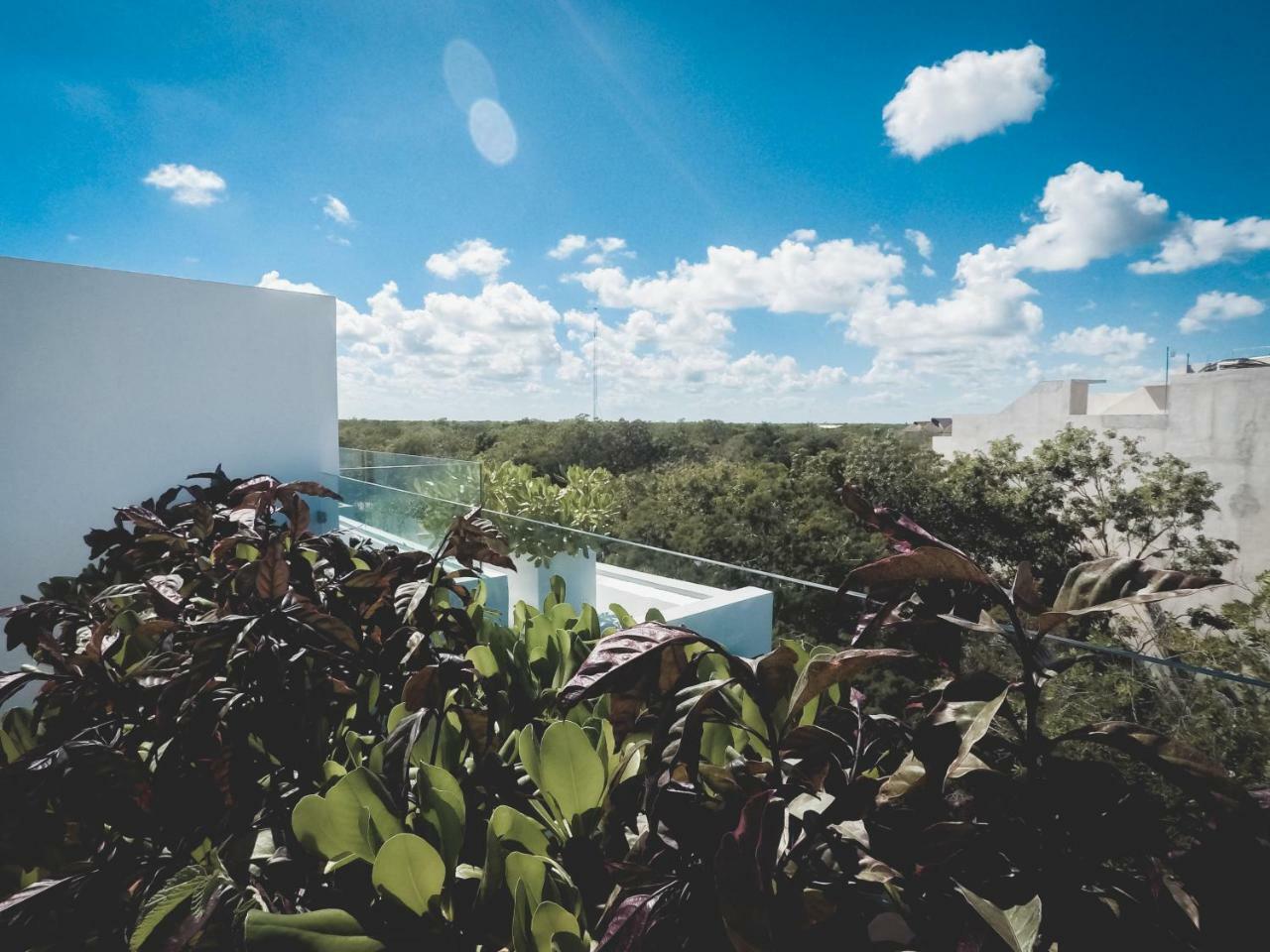 Quinto Sol Luxury By Mikitito * Tulum