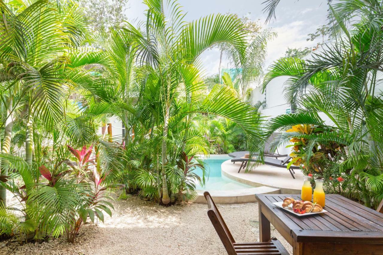 Amigos Tulum