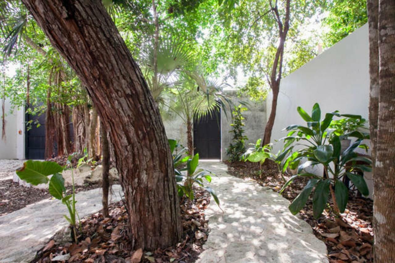 Relaxing Casa Tzalam 3br Surrounded By Nature By Happy Address *