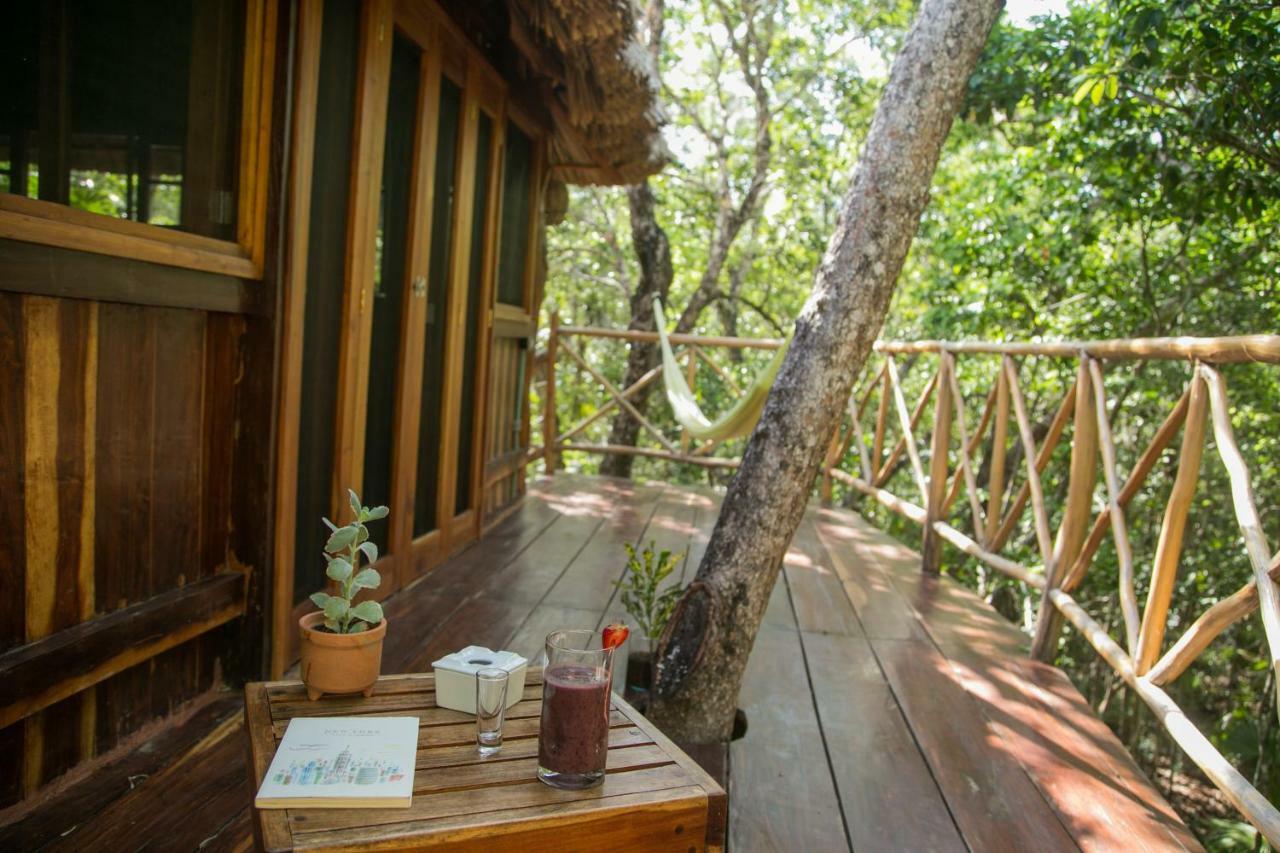 Ajal Tree House Hotel
