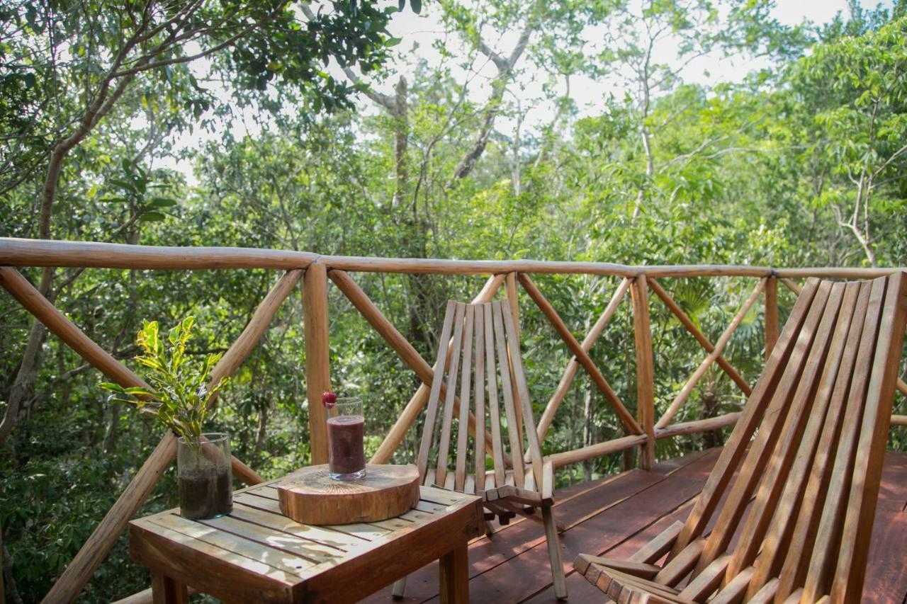 Ajal Tree House 4*
