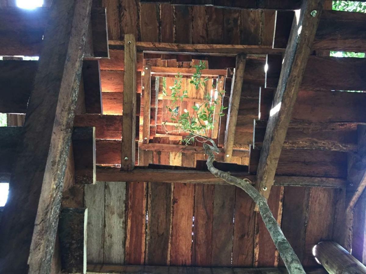 Ajal Tree House 4* Tulum