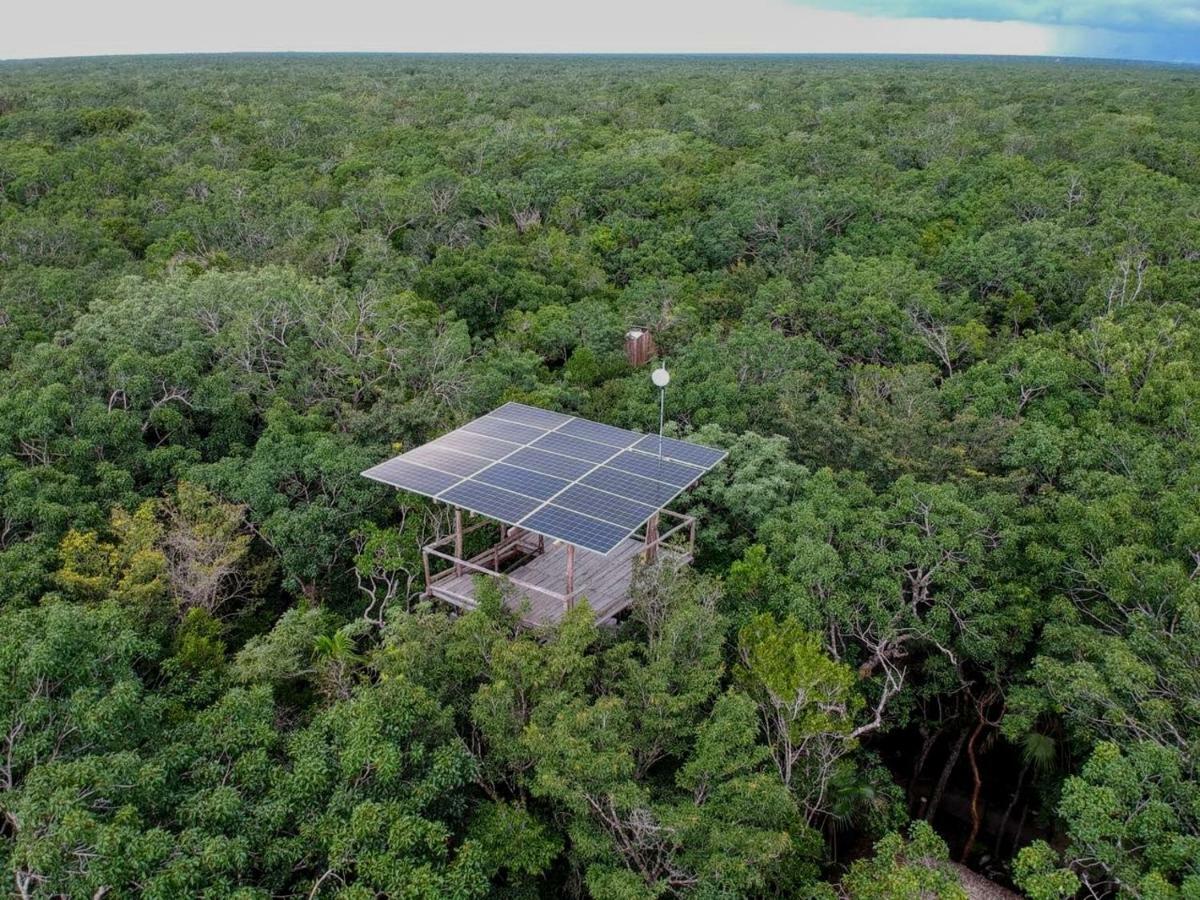 Ajal Tree House