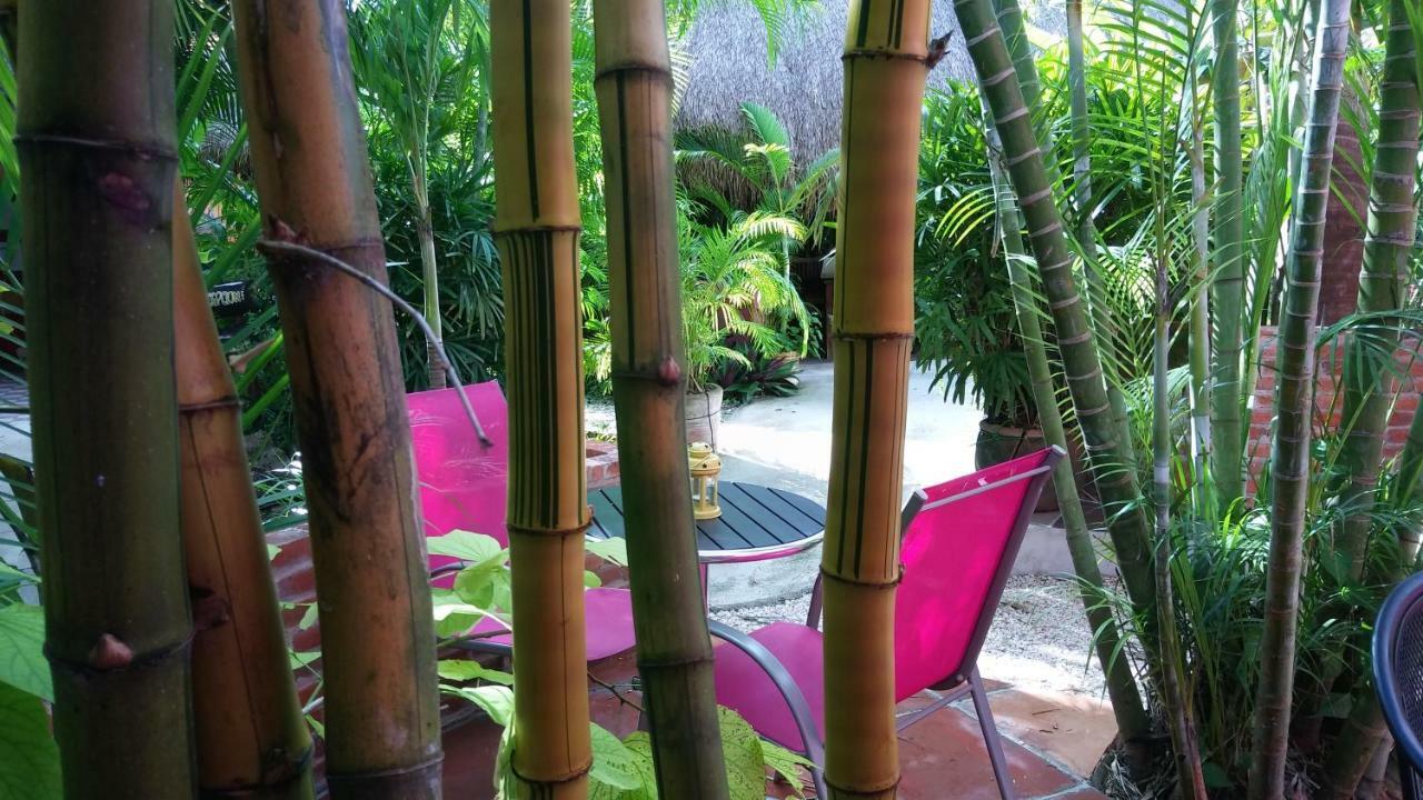 Bed and breakfast Casa Don Diego