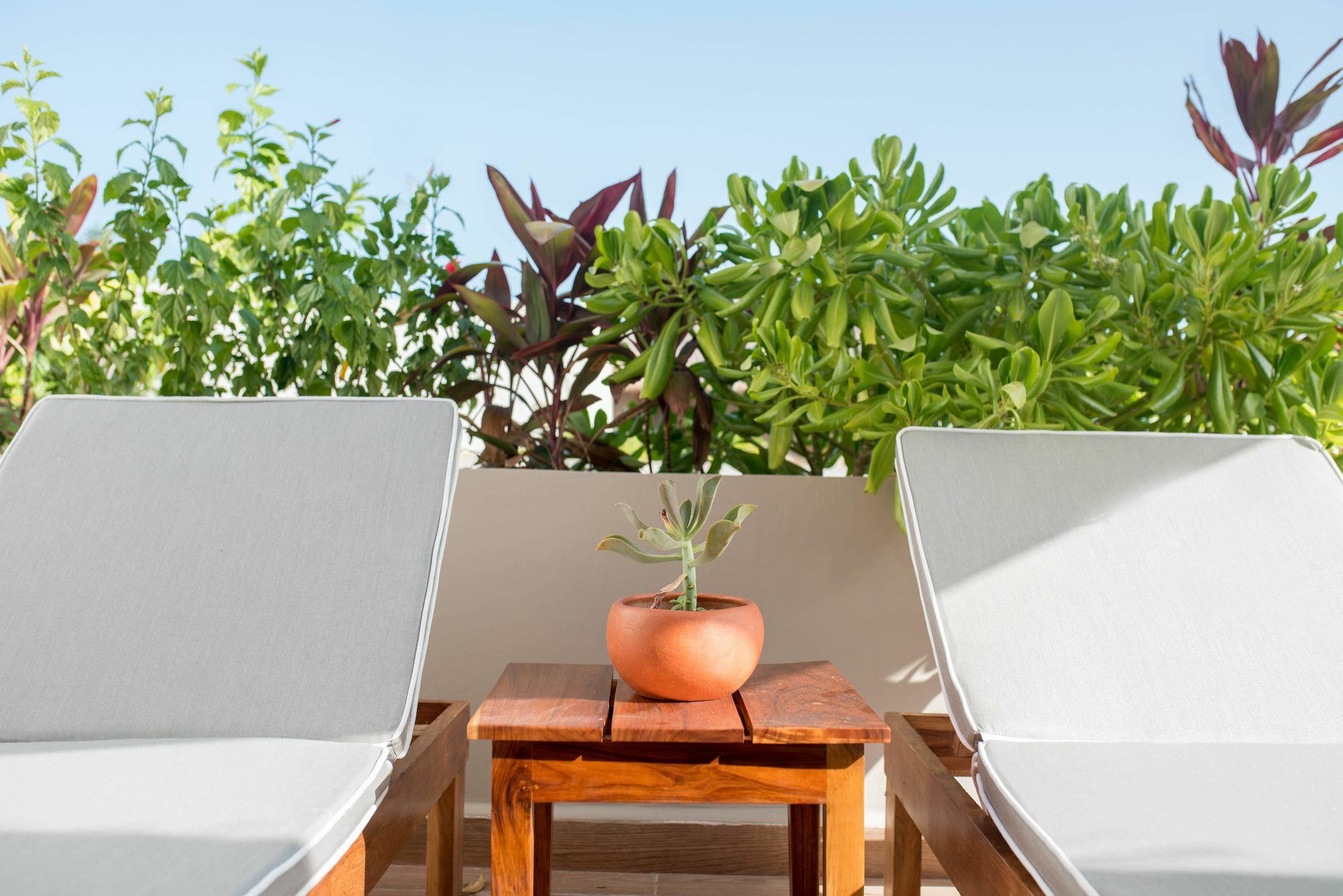 Agua De Mar Ph 305 By Imexico Apartment *