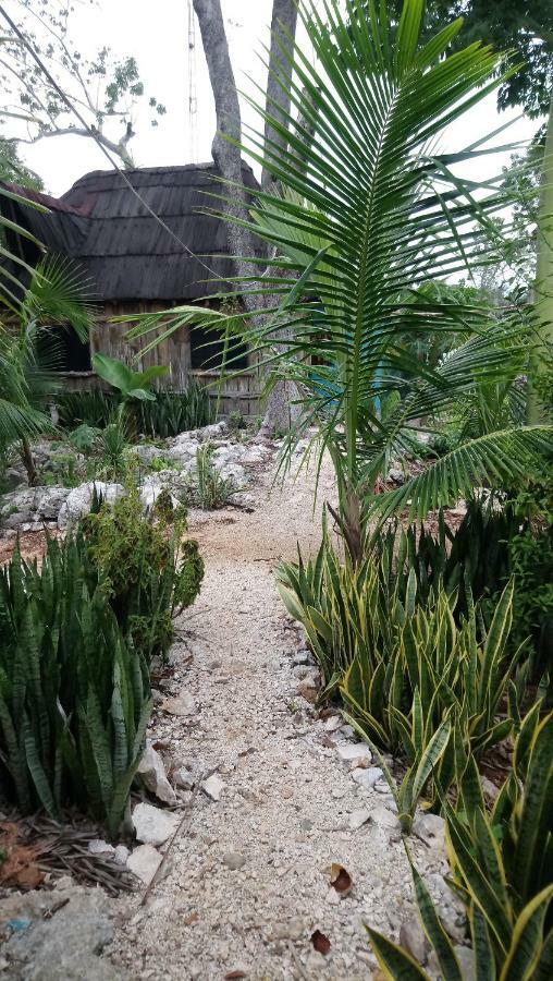 Jungle Oasis Сasa de vacaciones