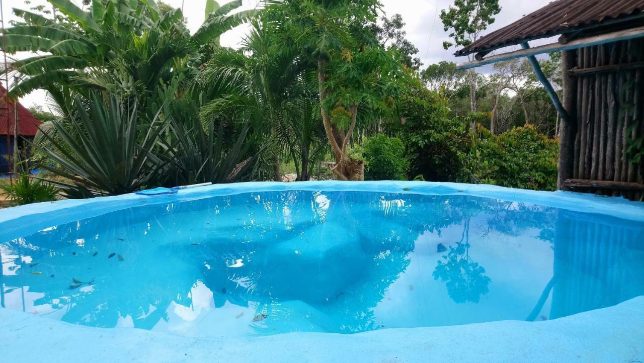 Jungle Oasis