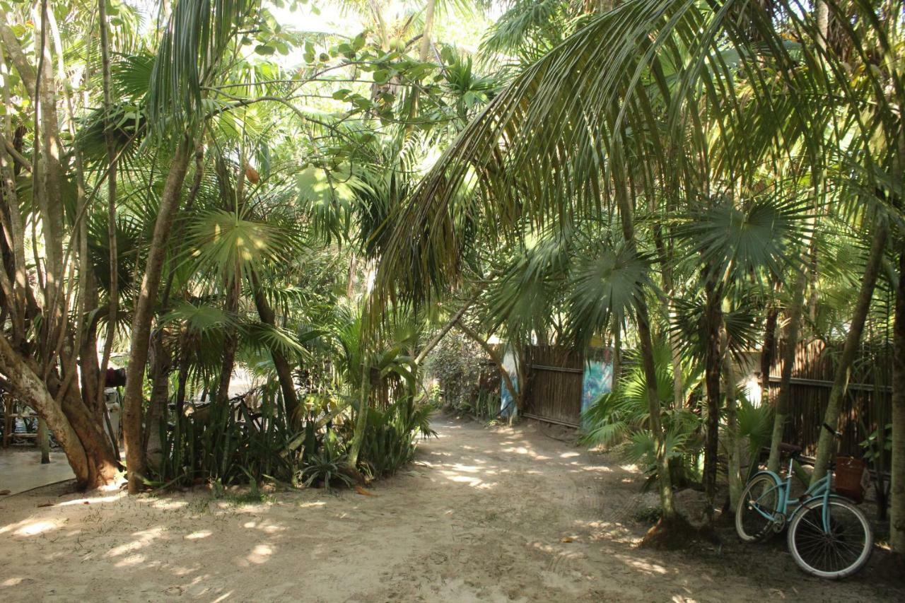 Chavez Eco Camping&cabañas *